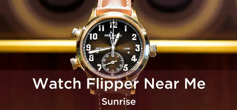 Watch Flipper Near Me Sunrise